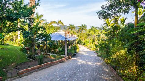 Jardín Botánico de Vallarta: Um Refúgio Verdante e um Santuário para a Fauna Local!